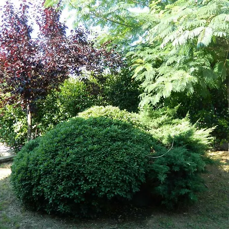 Case de vacanță Asano's House *